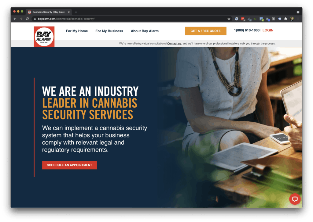 Bay Alarm Landing Page