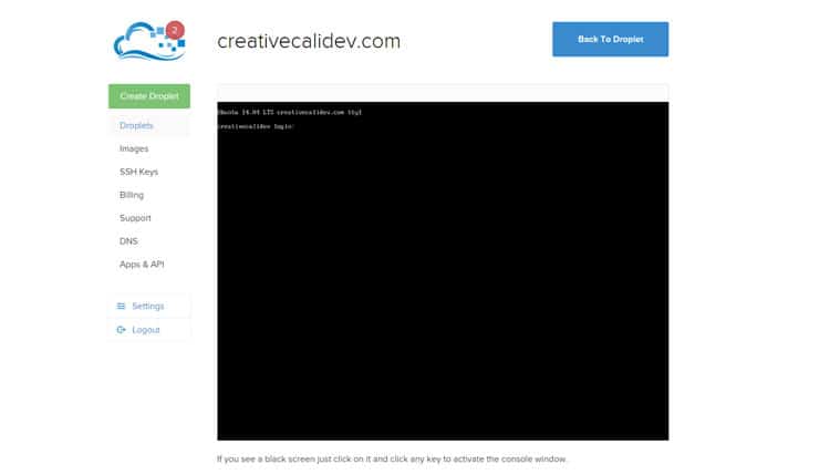 The Server Access Console on Digital Ocean
