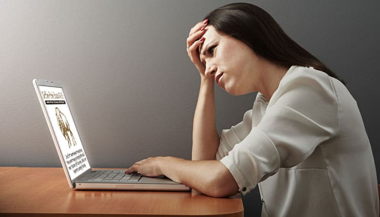 Seo Website Redesign